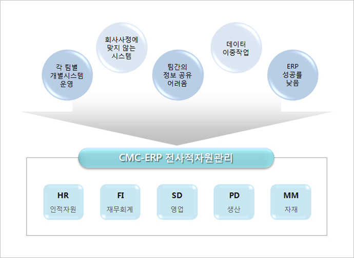 CMC-ERP 개요